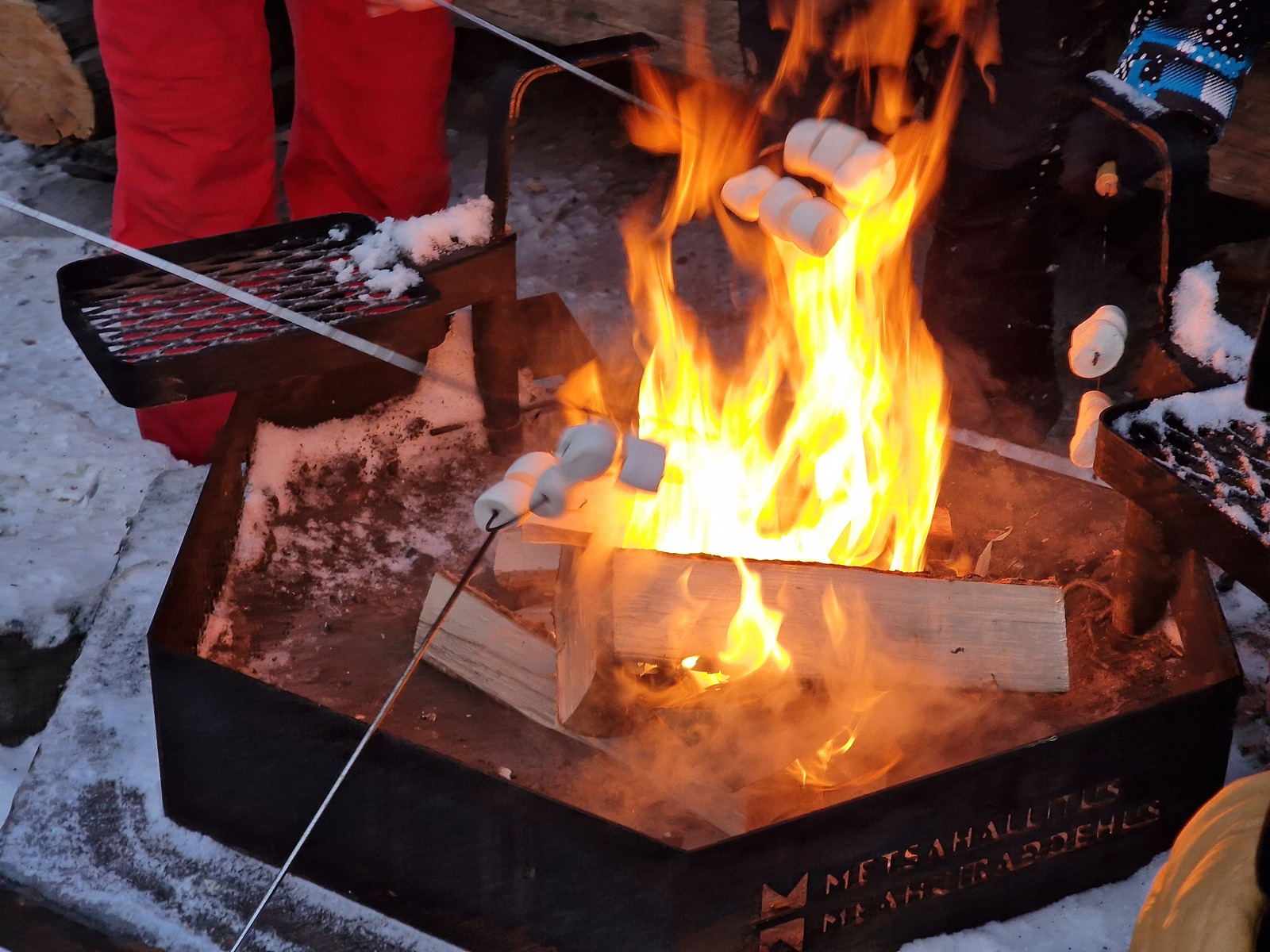 Gallery codefreeze2024 11.jpg