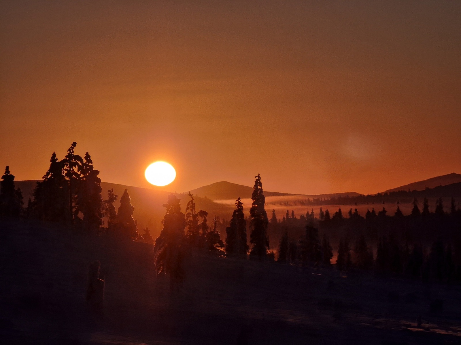 Gallery codefreeze2024 21.jpg