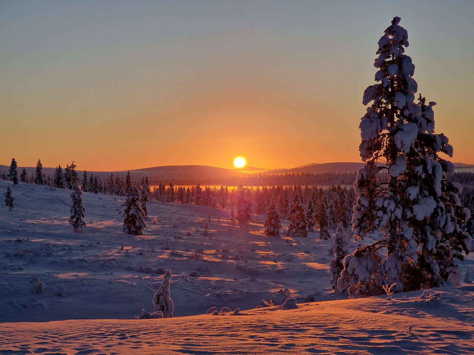 Gallery codefreeze2024 22.jpg