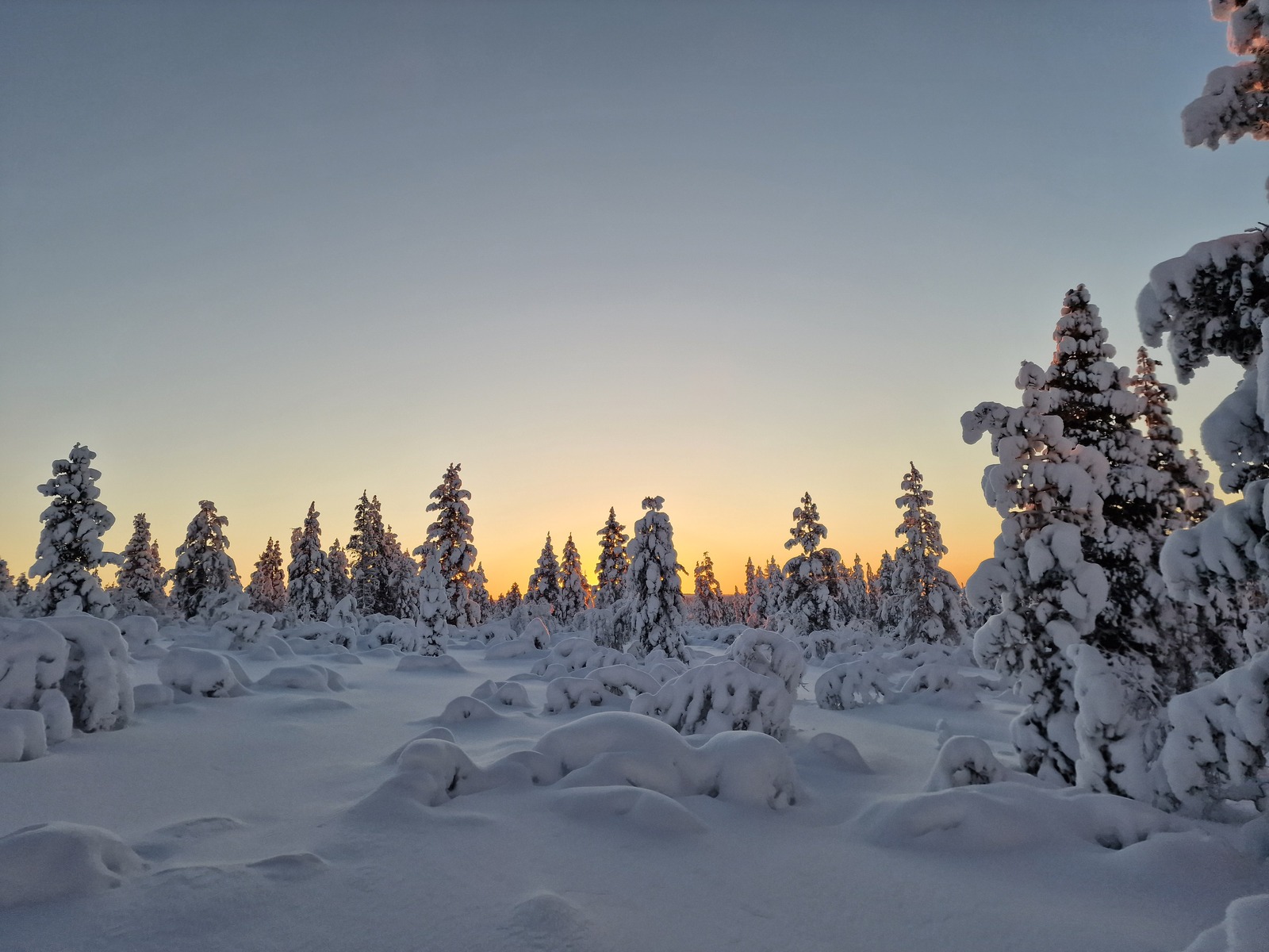 Gallery codefreeze2024 23.jpg