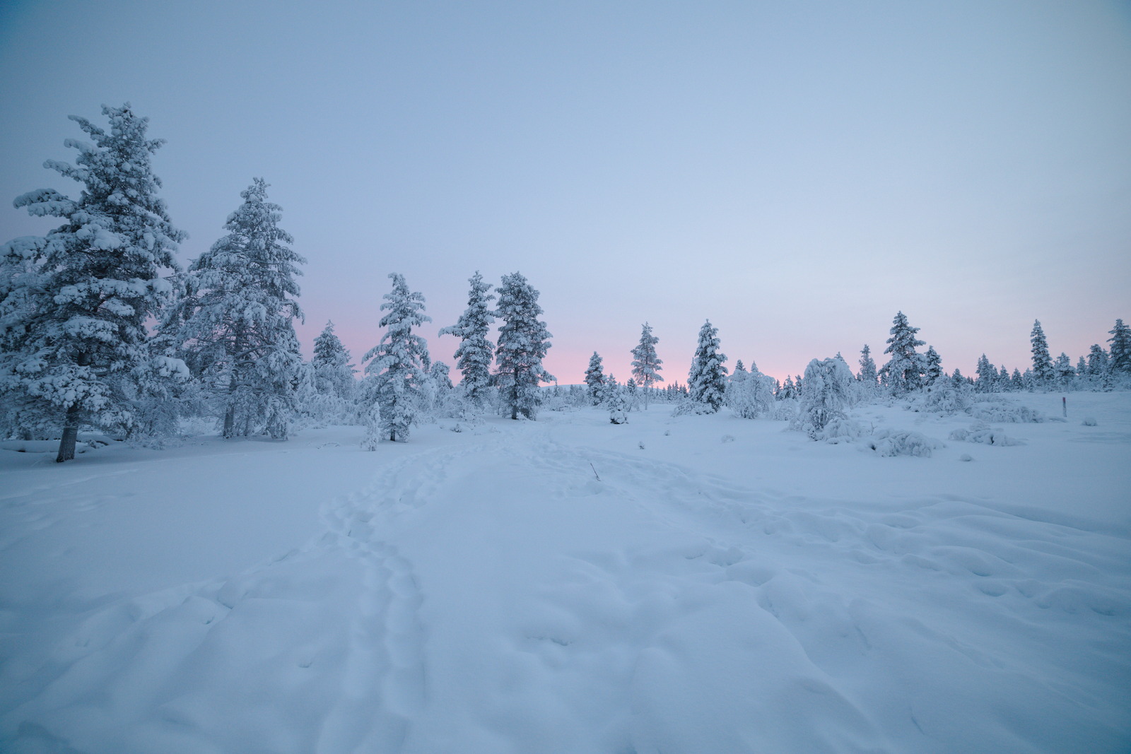 Gallery codefreeze2024 26.jpg