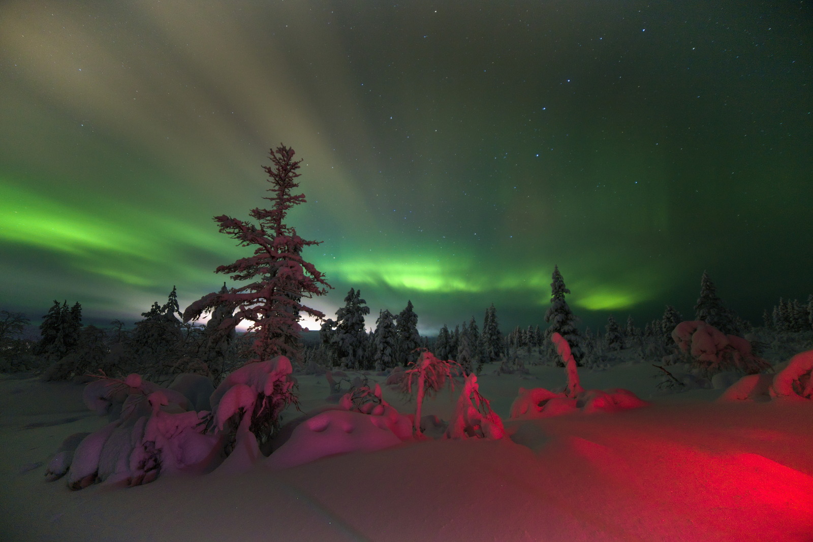 Gallery codefreeze2024 28.jpg