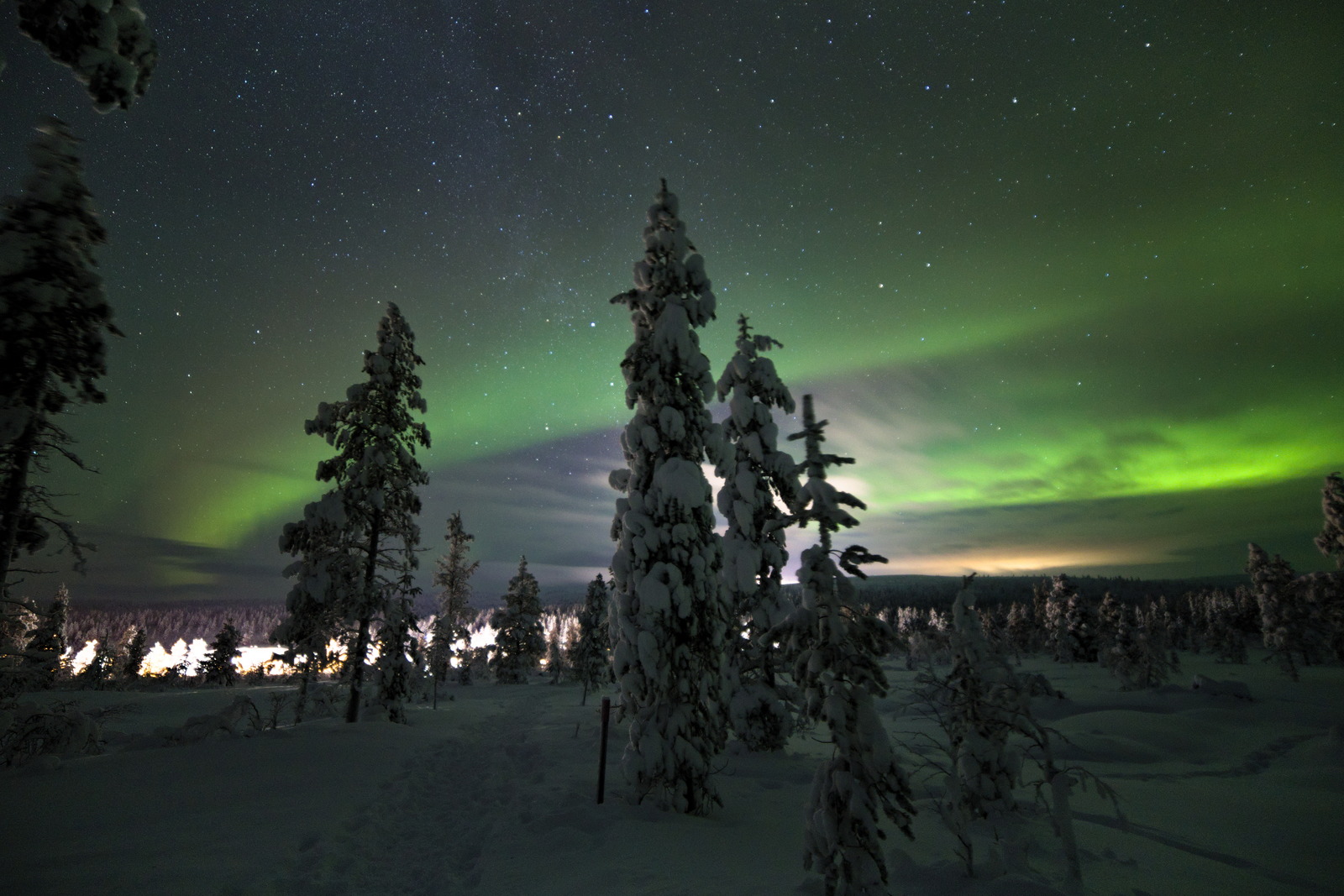 Gallery codefreeze2024 29.jpg