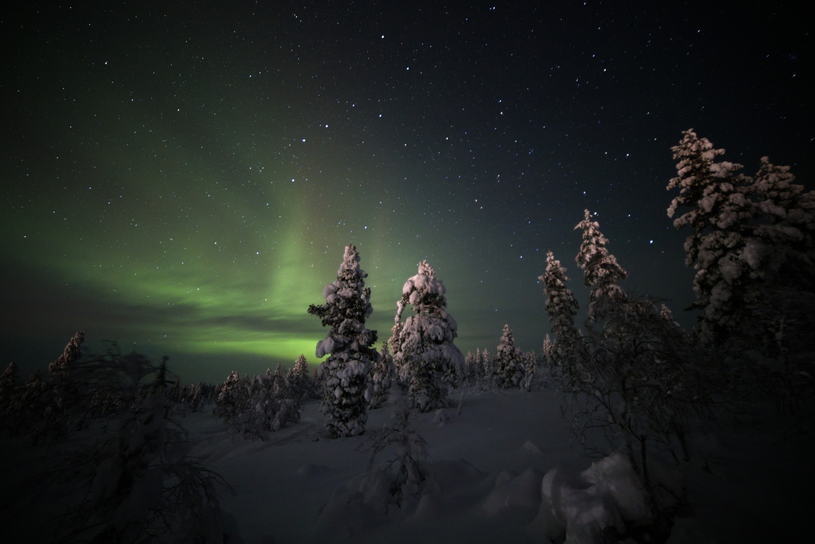 Gallery codefreeze2024 30.jpg