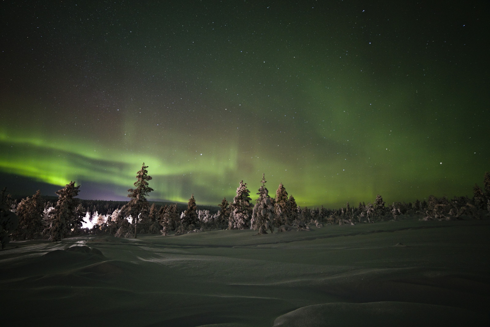 Gallery codefreeze2024 31.jpg