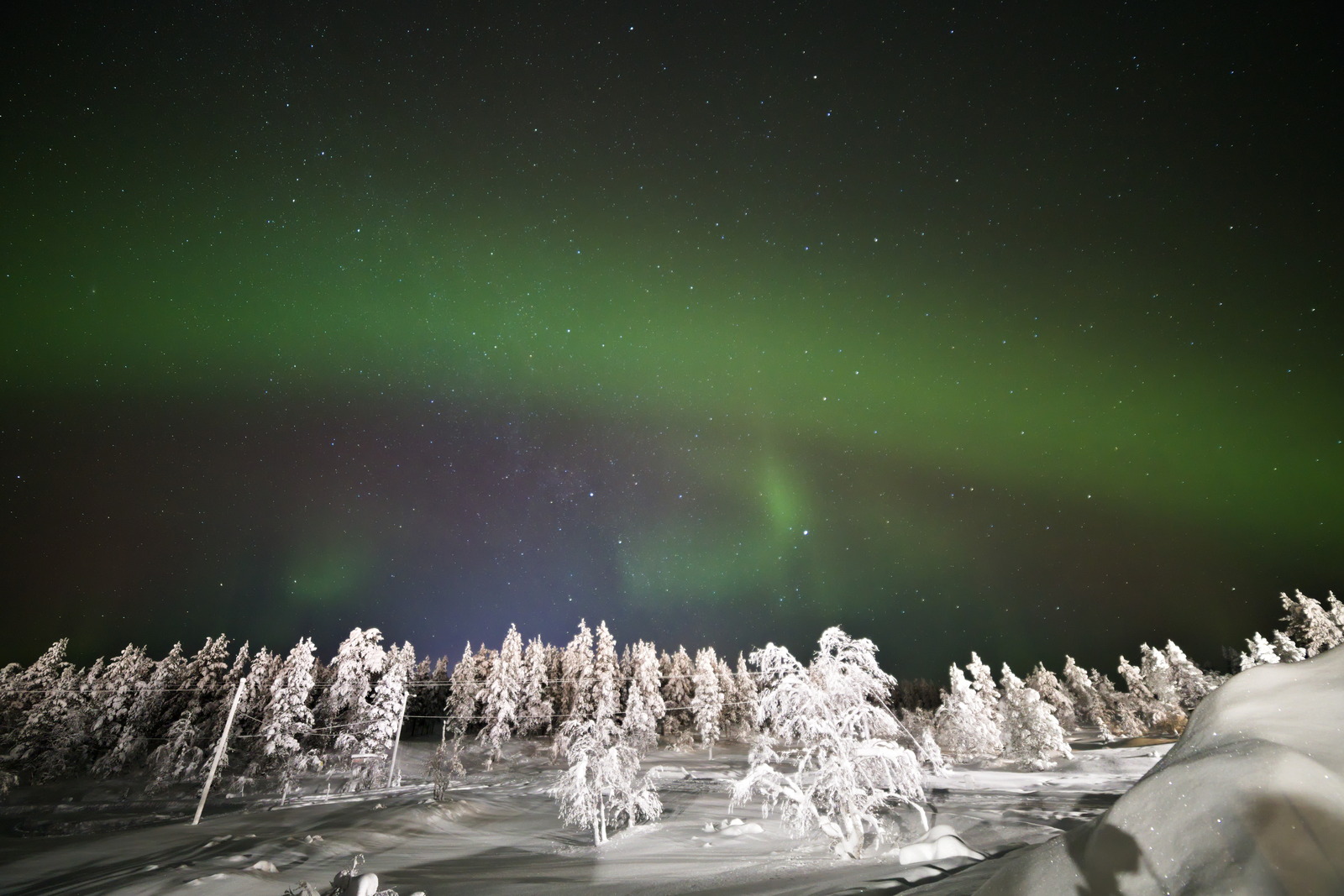 Gallery codefreeze2024 32.jpg