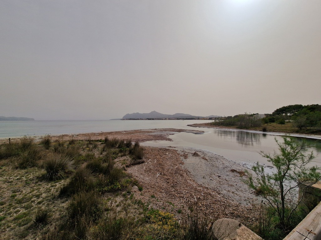 Gallery 20240408 110345.jpg