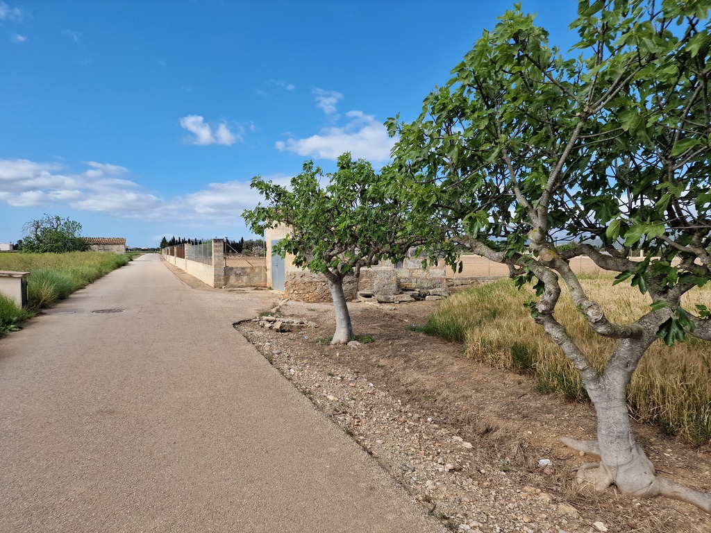 Gallery 20240409 105226.jpg