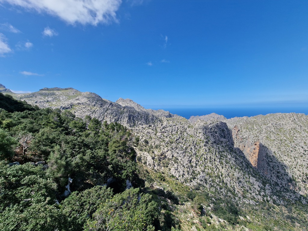 Gallery 20240409 133217.jpg