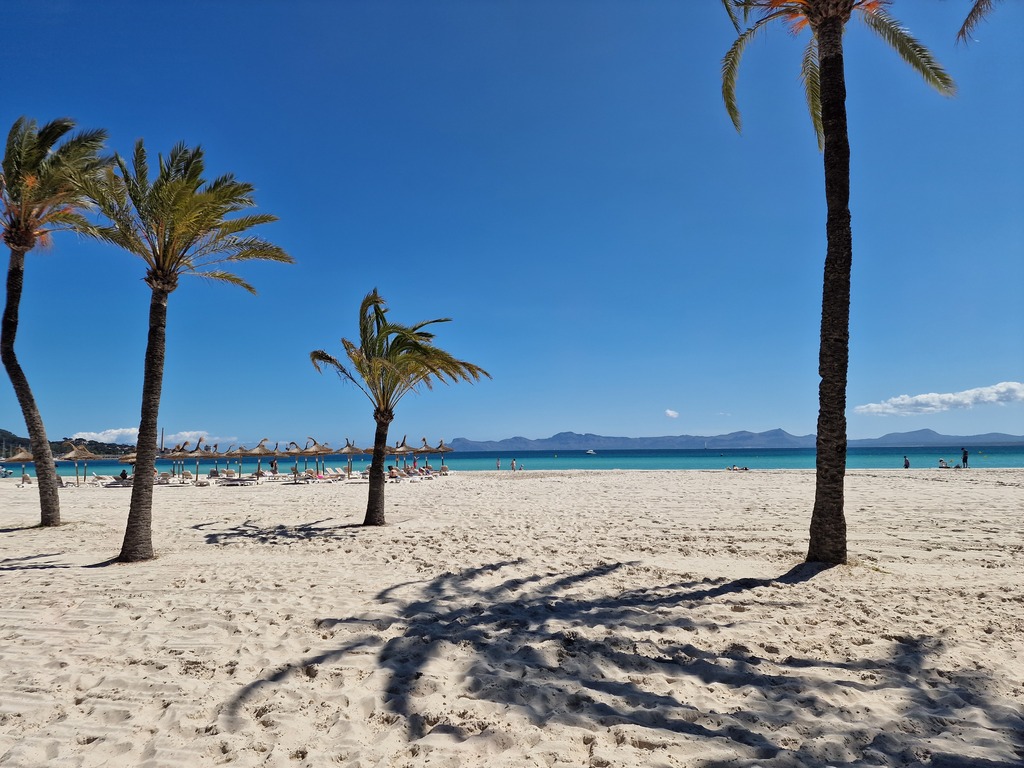 Gallery 20240410 133546.jpg