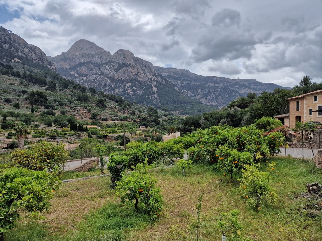 Gallery 20240411 135710.jpg