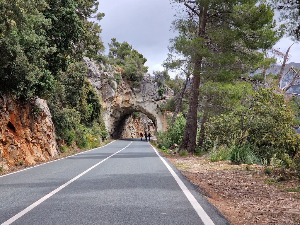 Gallery 20240411 142715.jpg