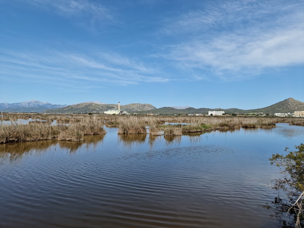 Gallery 20240412 112458.jpg