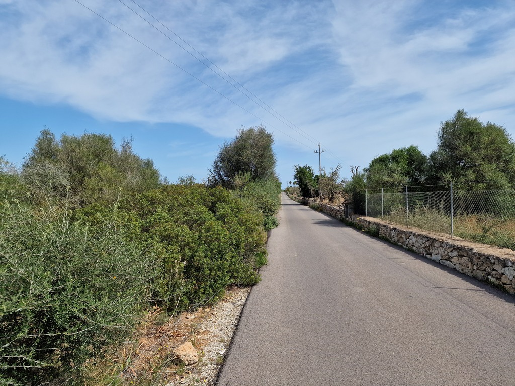 Gallery 20240412 115336.jpg