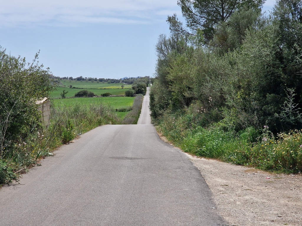 Gallery 20240412 123124.jpg