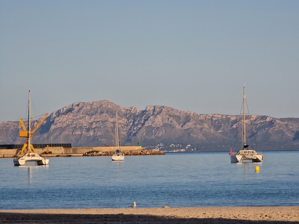 Gallery 20240413 192619.jpg