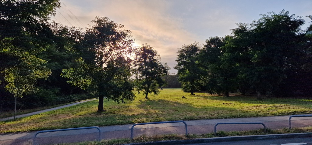 Gallery 20240810 072606.jpg