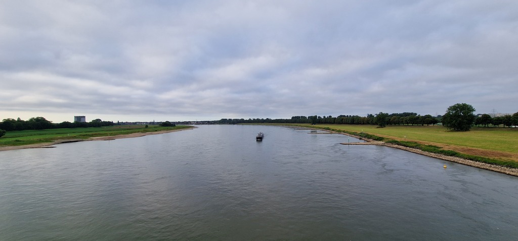 Gallery 20240810 074332.jpg