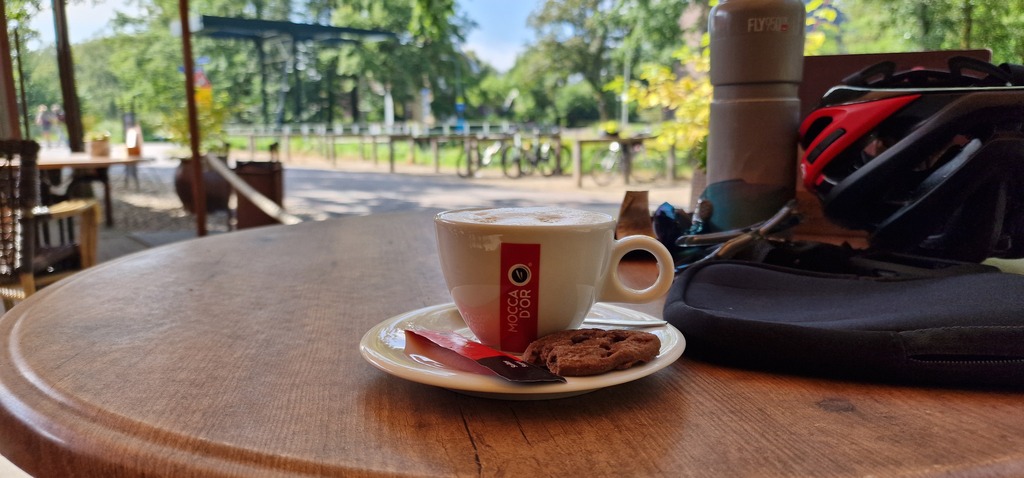 Gallery 20240810 110311.jpg