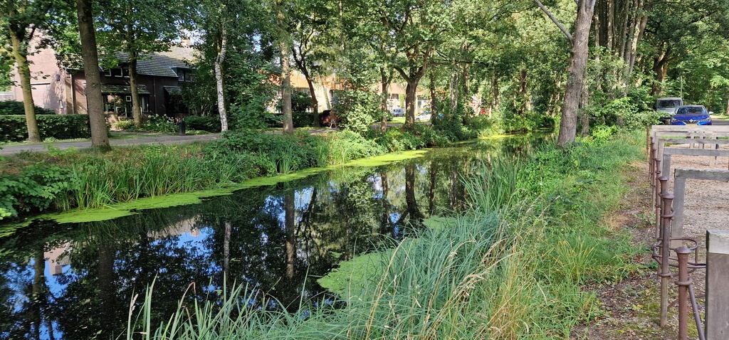 Gallery 20240810 112247.jpg