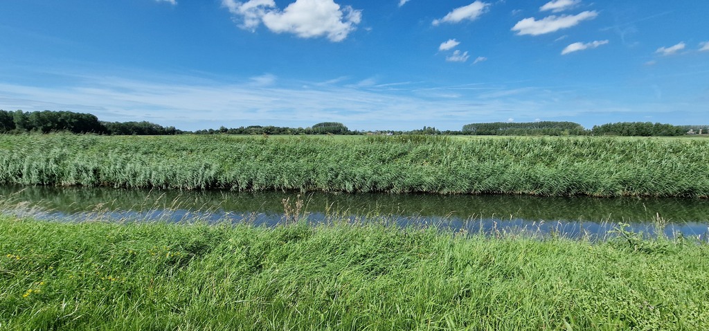 Gallery 20240810 143214.jpg