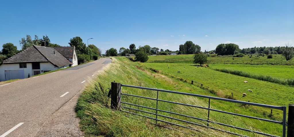 Gallery 20240810 144533.jpg