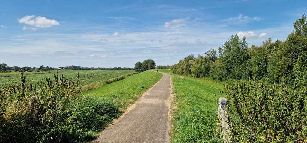 Gallery 20240810 151110.jpg