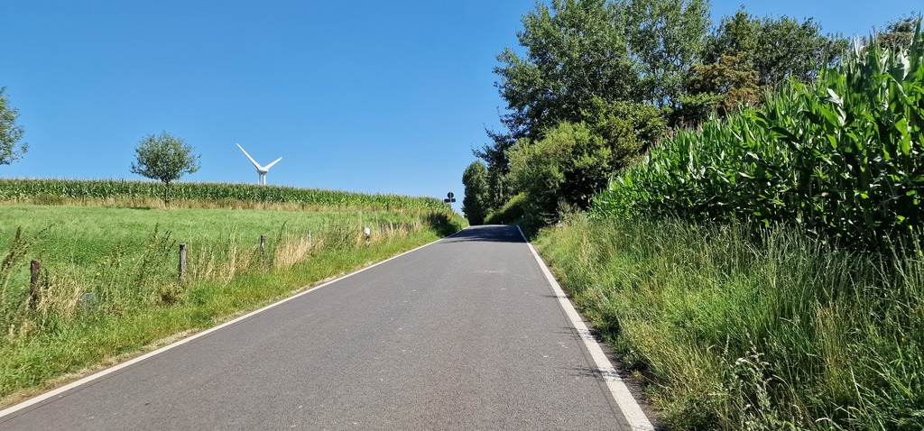 Gallery 20240811 145822.jpg