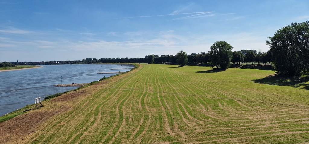 Gallery 20240811 162302.jpg