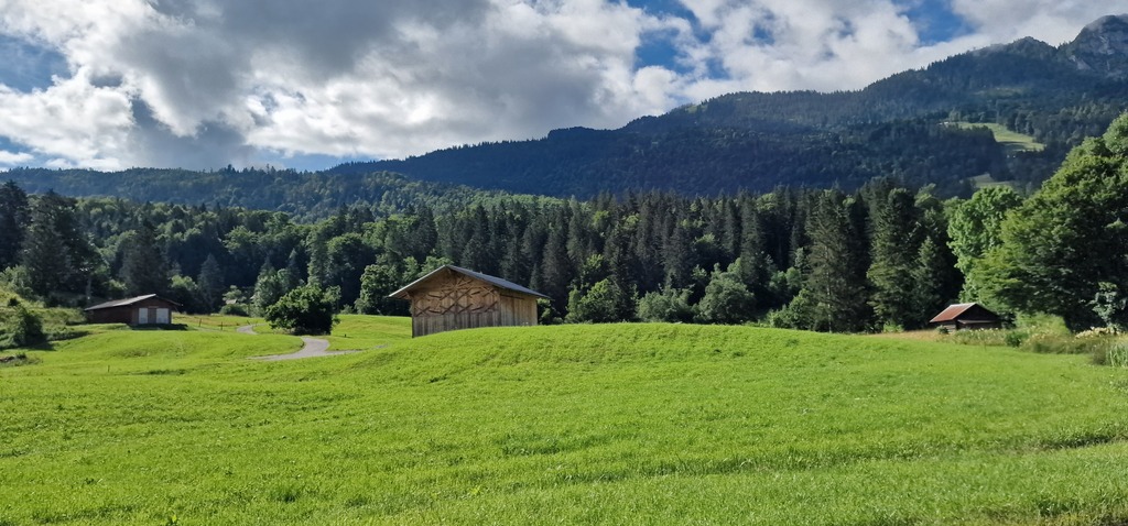 Gallery 20240705 092657.jpg