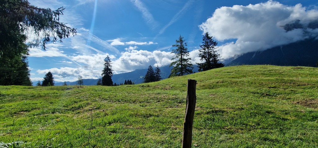 Gallery 20240705 095039.jpg