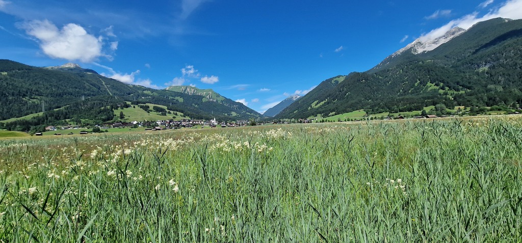 Gallery 20240705 110824.jpg