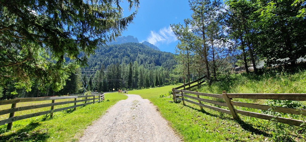 Gallery 20240705 112748.jpg