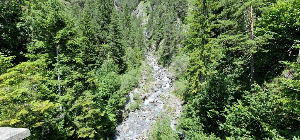 Gallery 20240705 125913.jpg