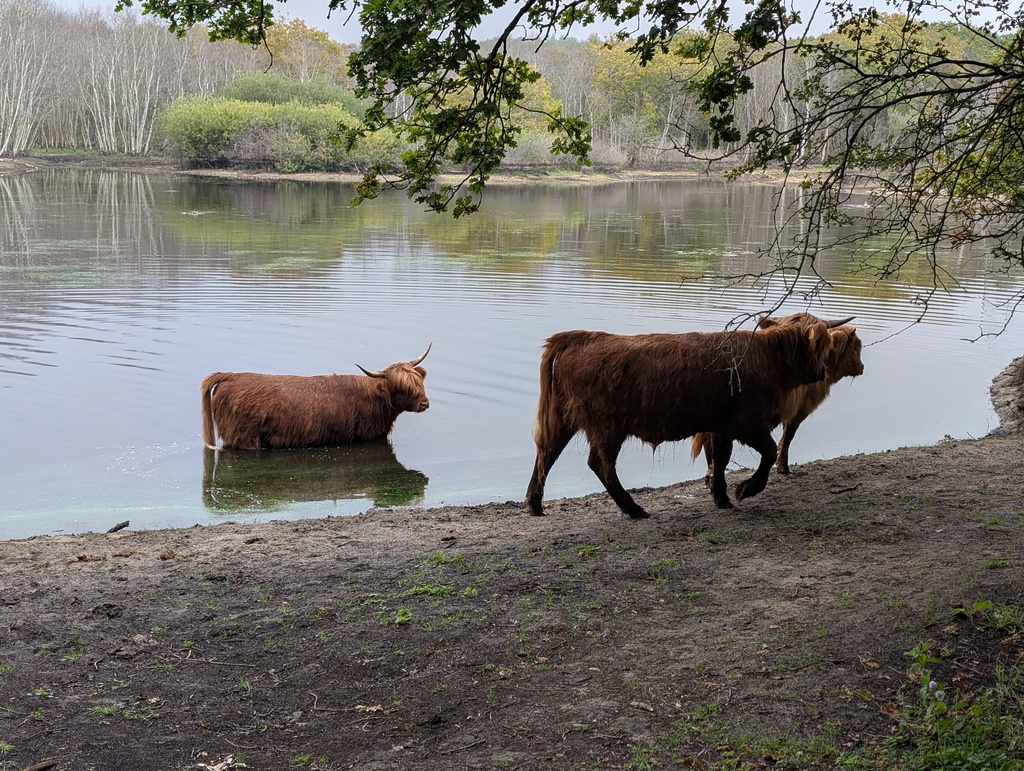 Gallery day2 039.jpg