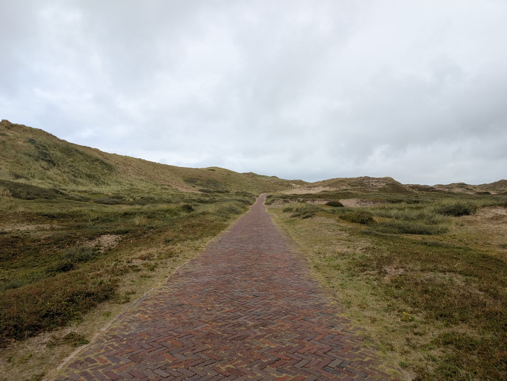 Gallery day2 043.jpg