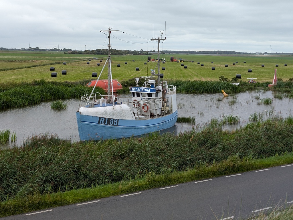 Gallery day2 065.jpg