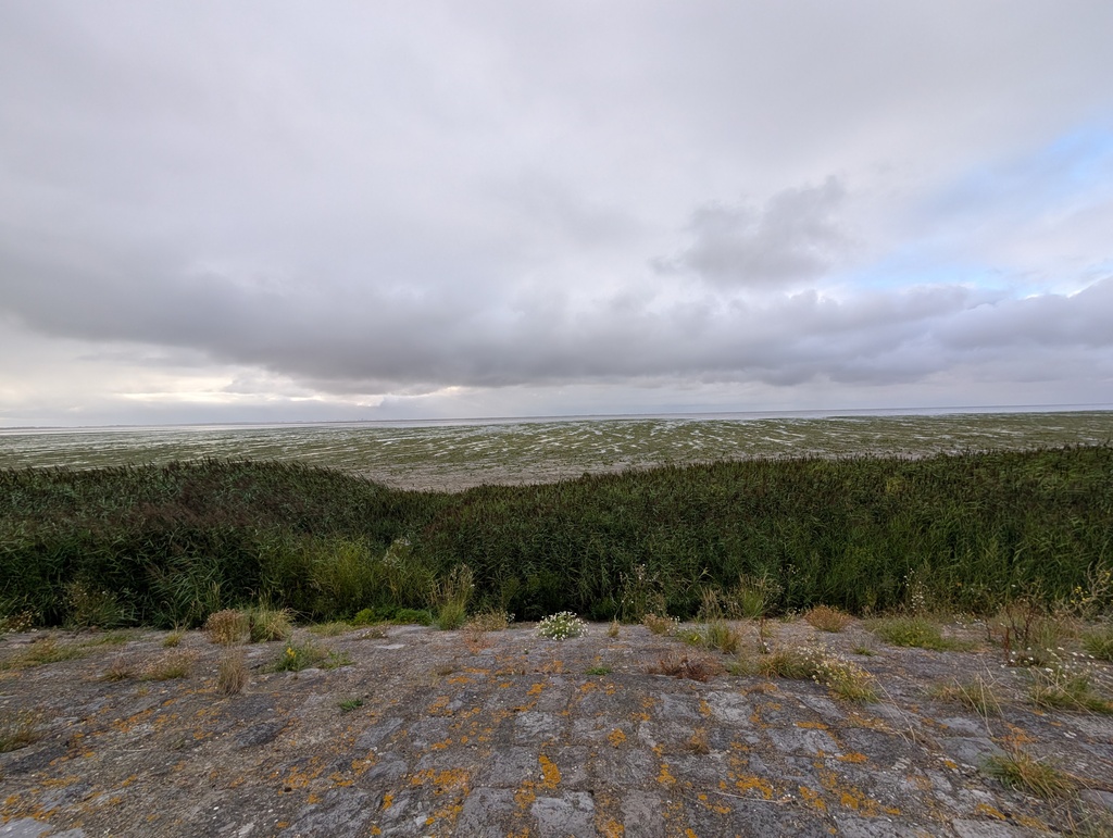 Gallery day2 109.jpg