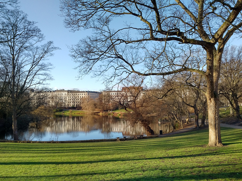 Gallery img 20170102 1225465.jpg