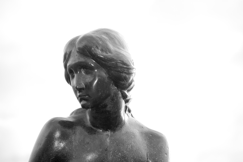 Gallery img 8892.jpg