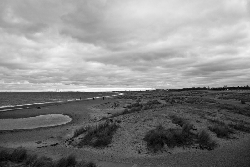 Gallery img 8907.jpg