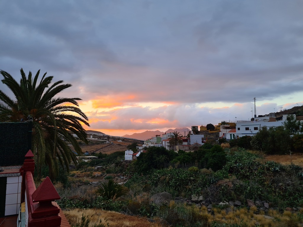 Gallery 20210530 204456.jpg