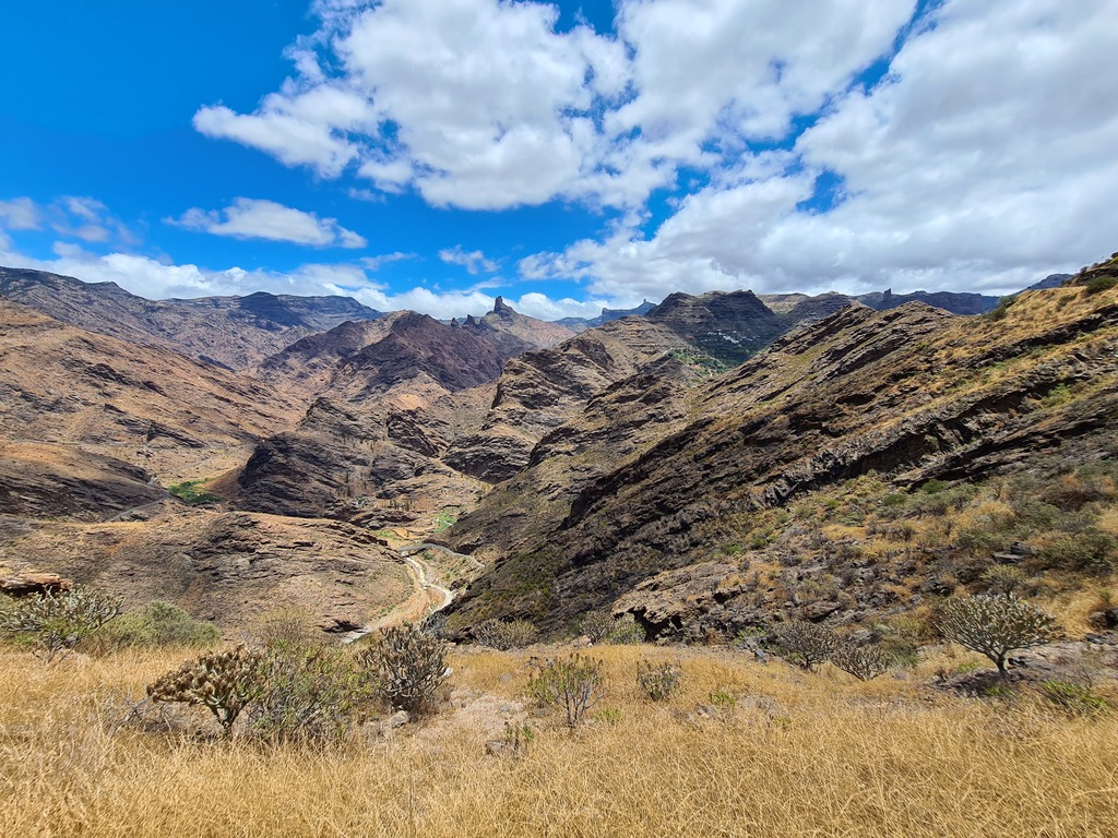 Gallery 20210603 140752.jpg