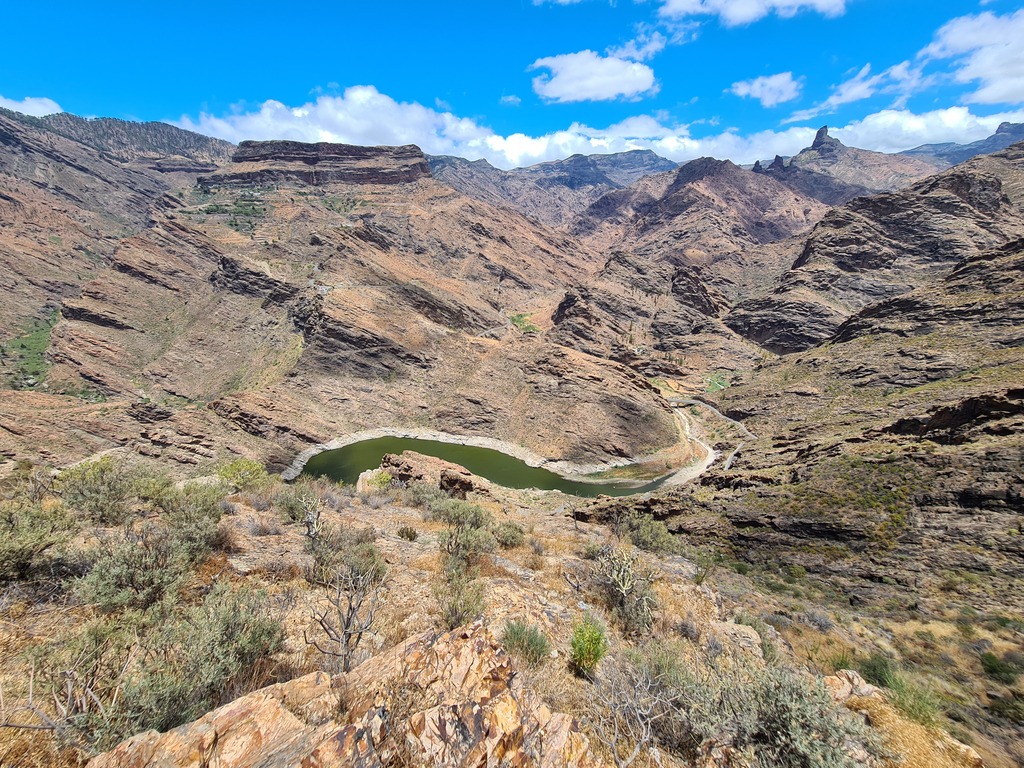 Gallery 20210603 140933.jpg