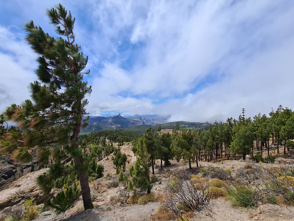 Gallery 20210603 154440.jpg