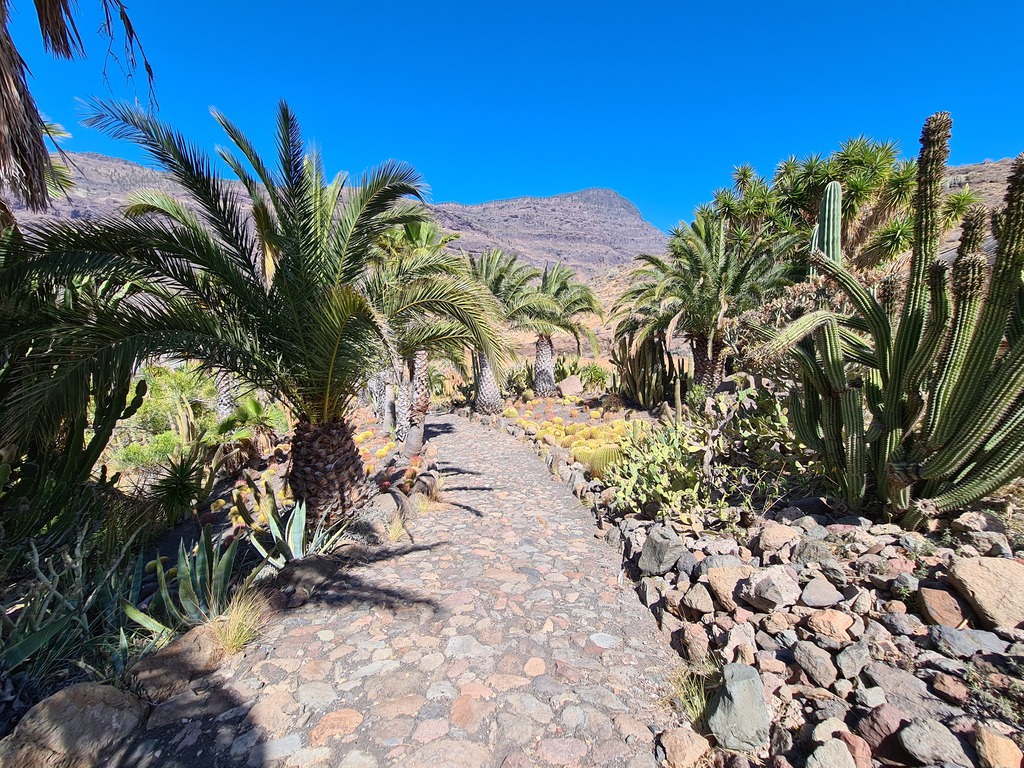 Gallery 20210606 165058.jpg