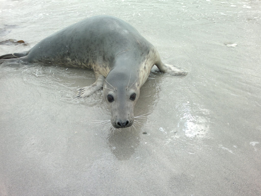 Gallery 2013 09 23 034.jpg