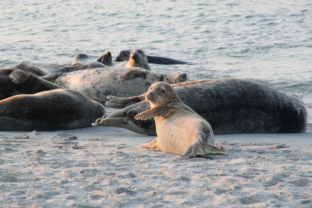 Gallery img 4140.jpg