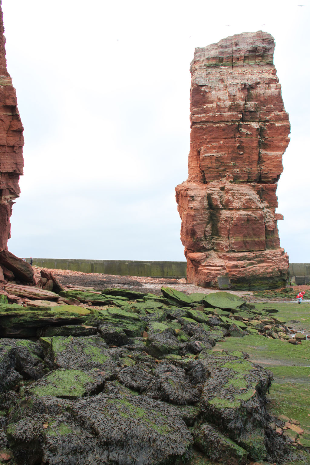 Gallery img 4212.jpg