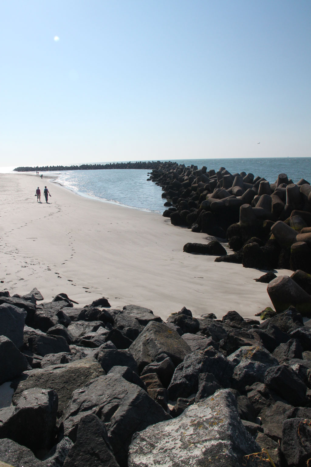 Gallery img 6555.jpg